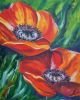 Mohnblumen, Oil auf Leinen, 40x50
