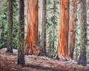 Sequoias, Oil auf Leinen
